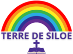 terre de siloe (4)